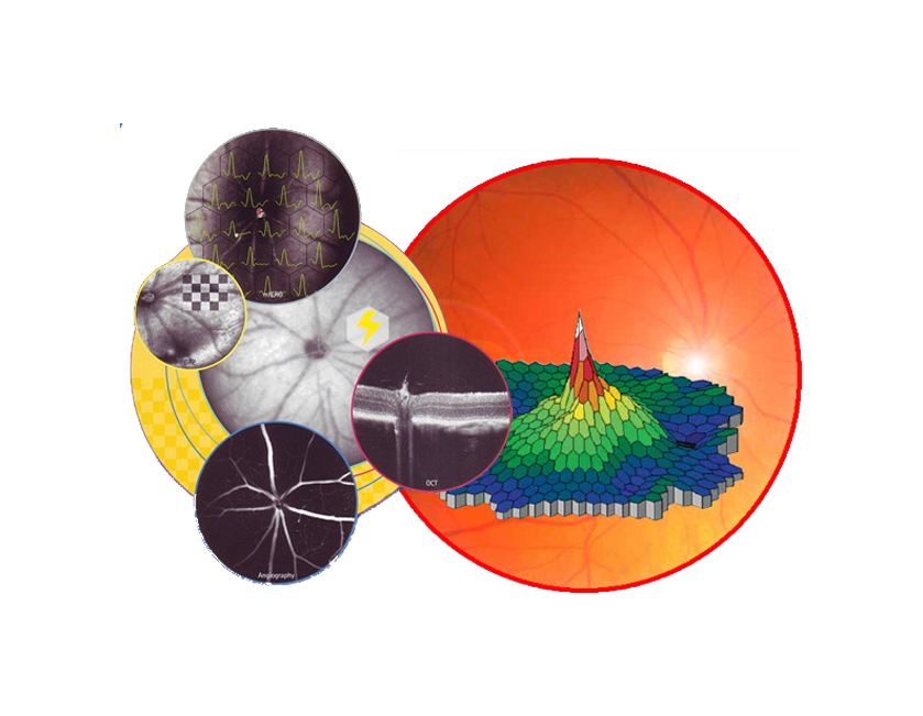 Electrophysiology